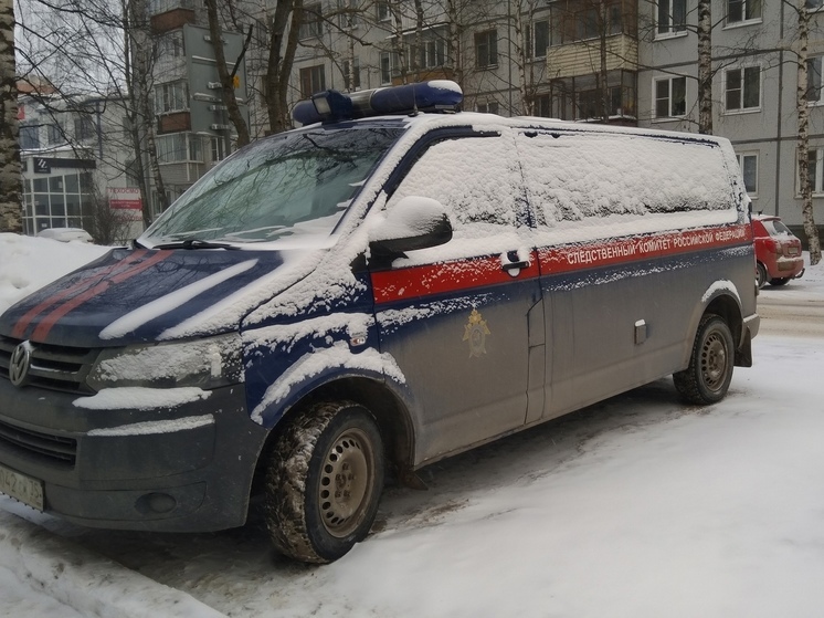 Убийство женщины расследуют в Великоустюгском округе