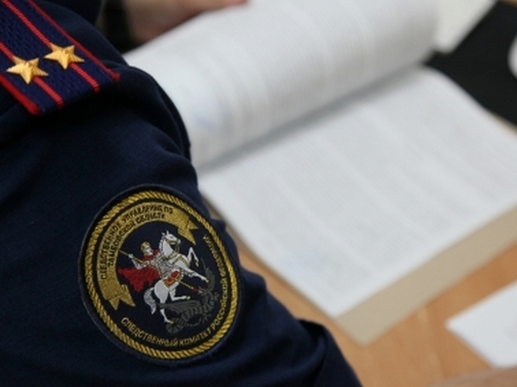 Бастрыкин заинтересовался ситуацией со школой в тамбовском селе Балыклей