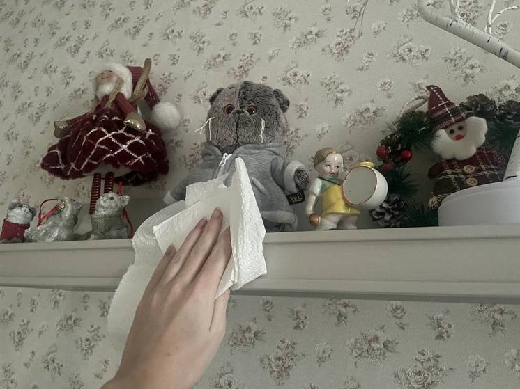 Петербуржцам посоветовали заняться расхламлением своего дома