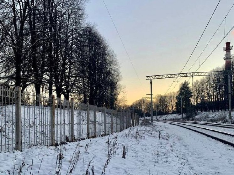 Более 250 «опасных троп» ликвидируют в Подмосковье