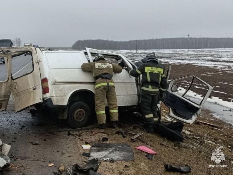 Под Клинцами столкнулись грузовик и легковой автомобиль