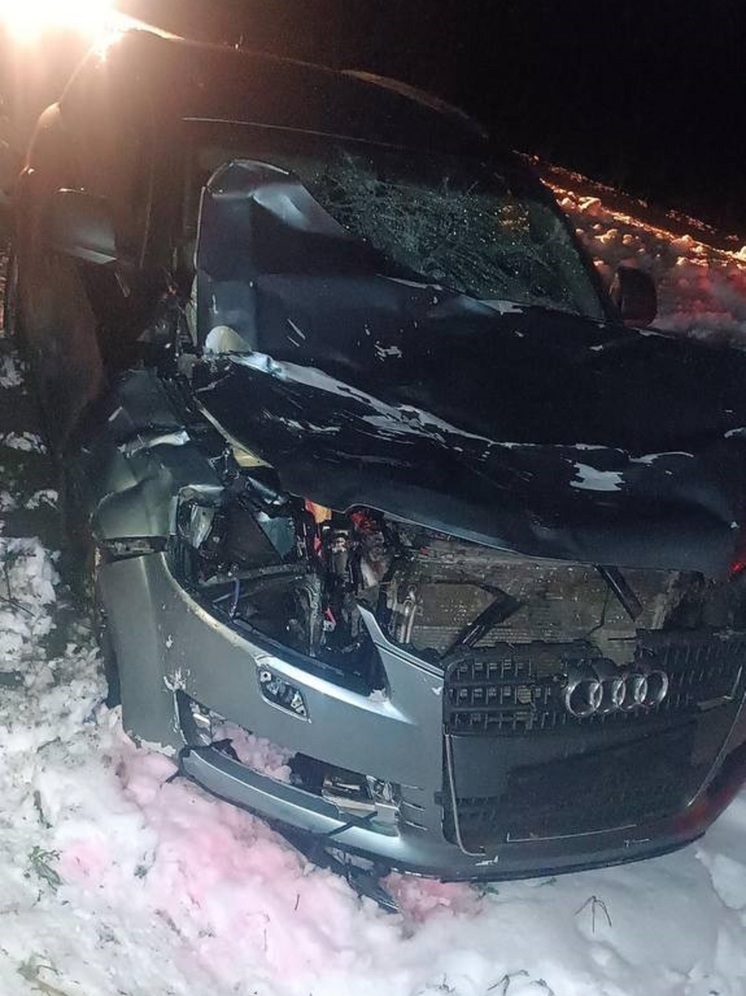 ДТП с лосем в Псковском районе: животное погибло, водитель не пострадал