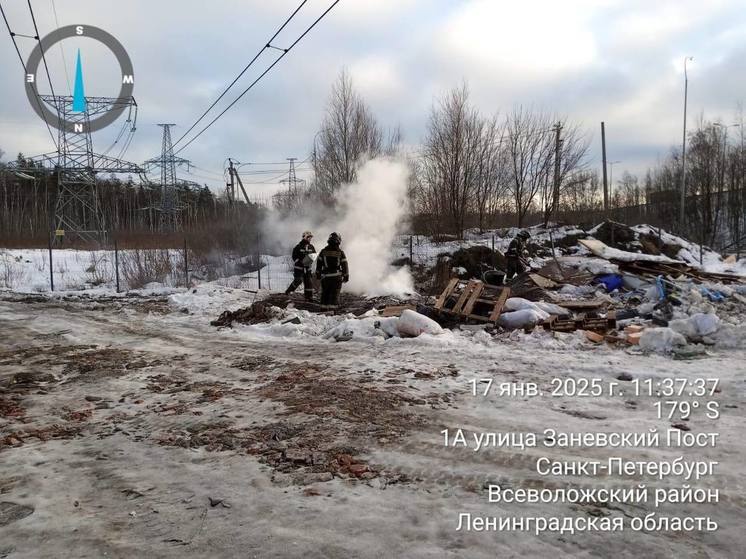 В промзоне Заневки местные жители пресекли незаконное сжигание отходов