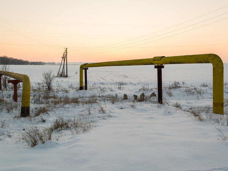 Красносельский: Молдавия приостановила поставку газа из-за политики