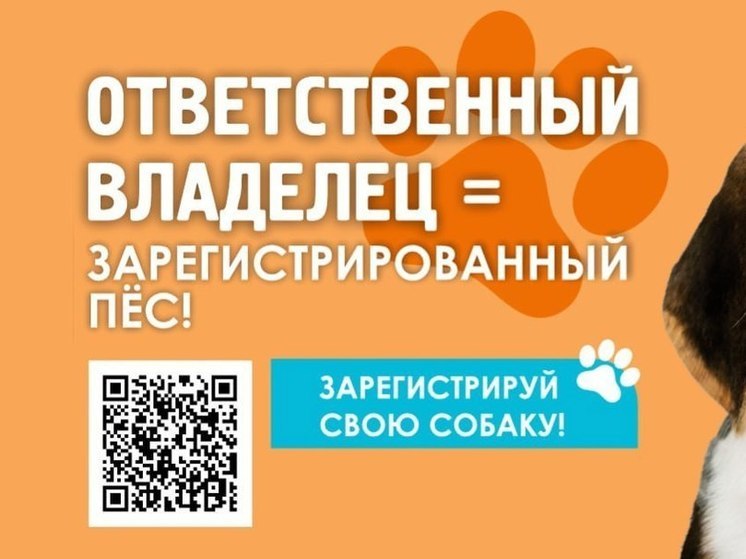 В Барнауле в Ленинском районе с 20 января стартует выездная регистрация животных