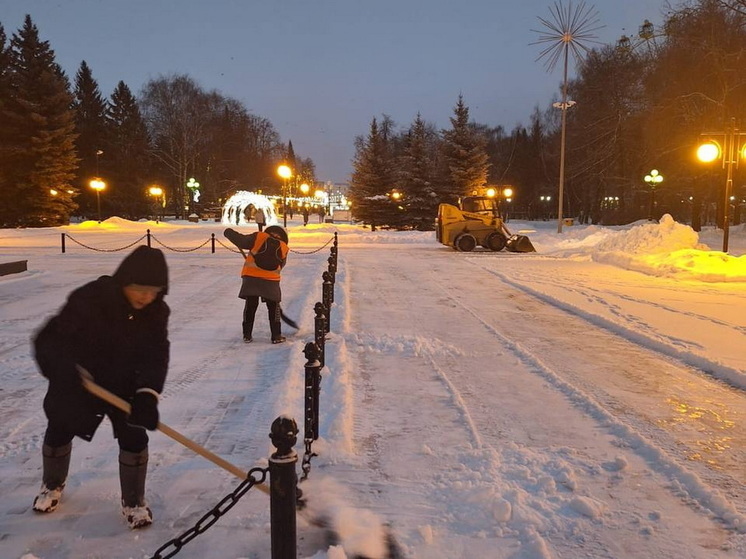 Глава Марий Эл контролирует уборку снега в городах и районах