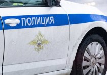 В Шушарах 17 января около двух часов дня полицейские задержали 27-летнюю женщину с полиэтиленовым пакетом
