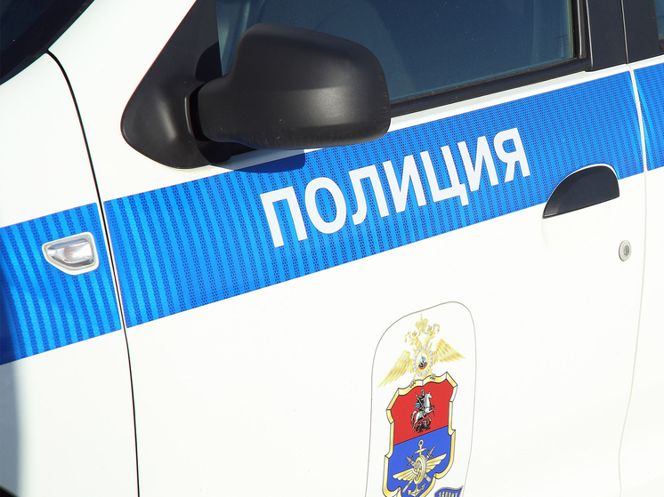 Хулиган покончил с собой в отделе полиции в подмосковном Долгопрудном
