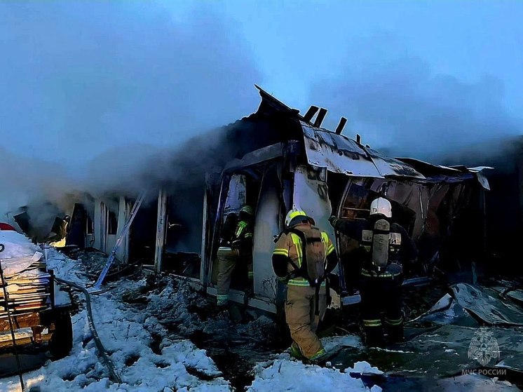 В Омской области за день произошло два пожара на складах