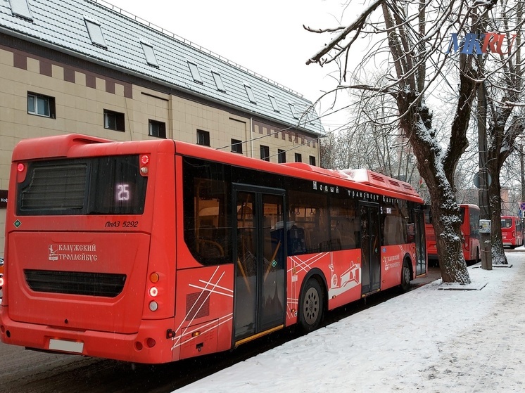 Льготный маршрут №28 до Некрасово в Калуге будет работать круглый год