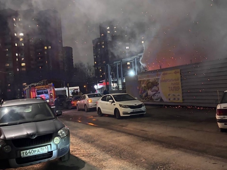 В Ростове произошел пожар у торгового центра «Талер»