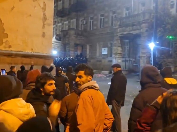 Перед зданием парламента Грузии началась очередная антиправительственная акция – РИА Новости