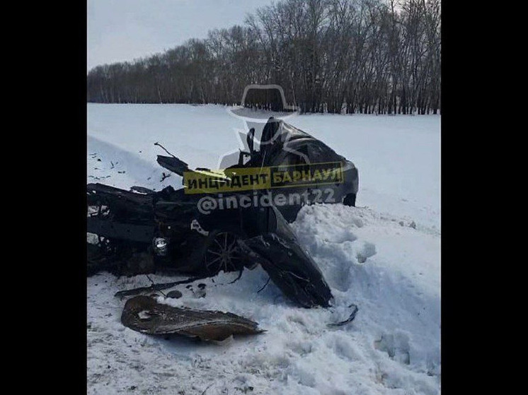 В ДТП с фурой на трассе Барнаул-Новосибирск погибло два человека