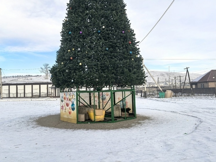 Неизвестные сломали ограждение вокруг новогодней елки в городе Забайкалья