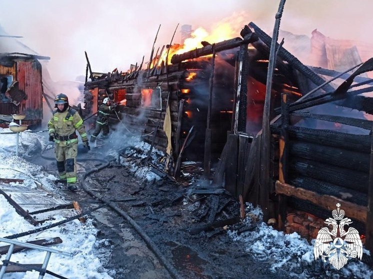 Жилой и дачный дома сгорели в Томске 19 января