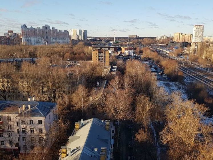 В подмосковных Мытищах заметили в январе первые подснежники