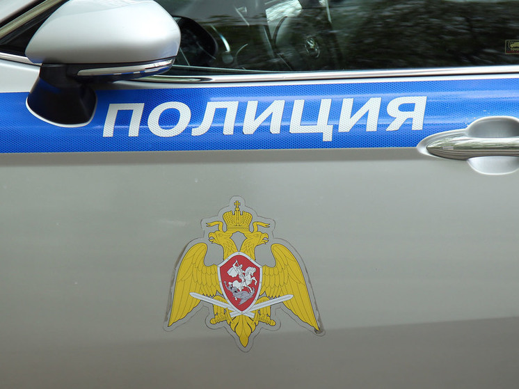 Тела двоих погибших нашли в машине в округе Чехов