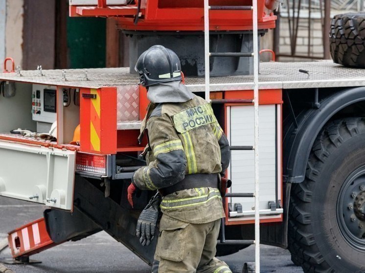 10 пожарных тушили гараж в Пскове