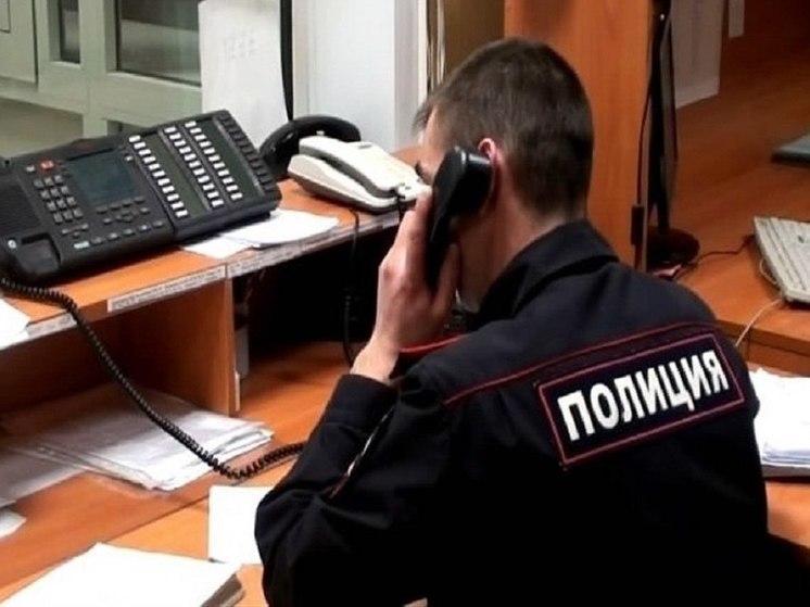 Мужчина ударил приятеля ножом в магазине Подмосковья