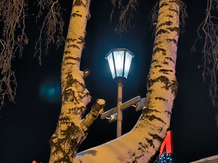 Не убивать мышей и не бездельничать: запреты на день Иоанна Крестителя 20 января