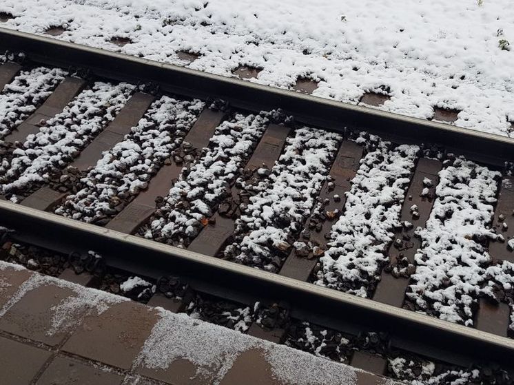 Зацеперы обстреляли кабину электропоезда в Подмосковье