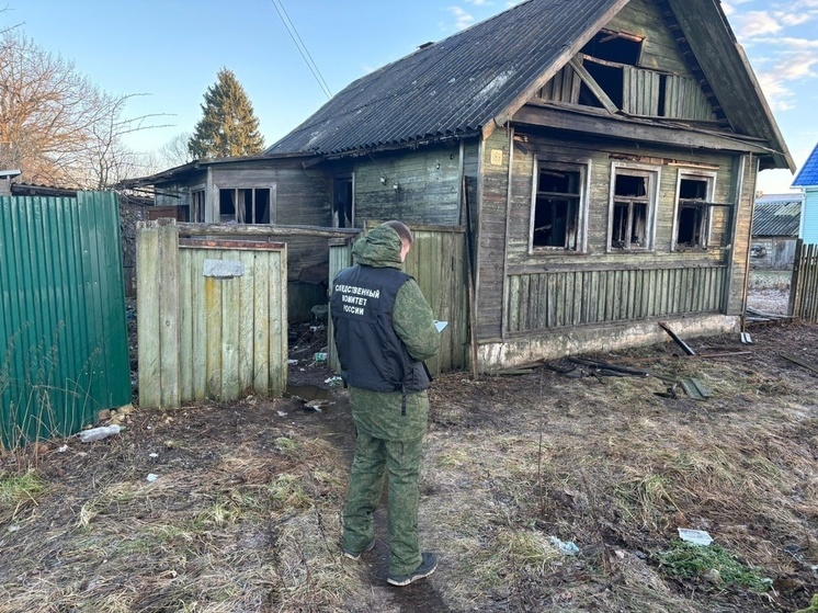 Следователи проводят проверку по факту гибели женщины во время пожара в Сольцах