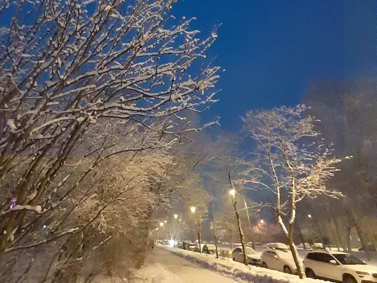 В Великом Новгороде температура воздуха достигла почти пяти градусов выше нуля