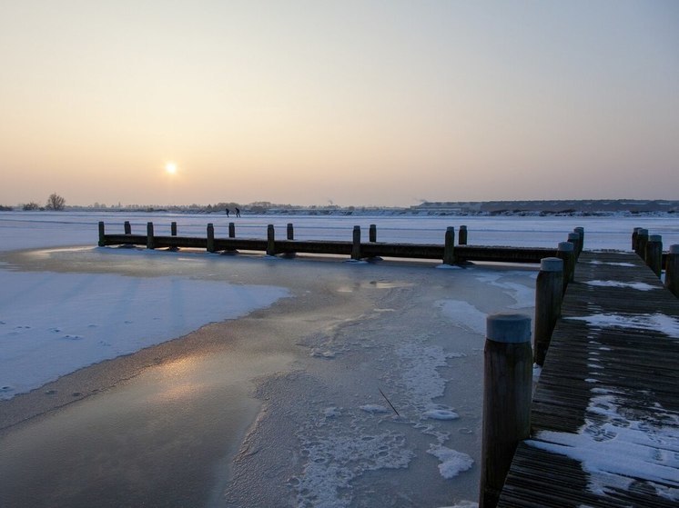 В Воронеже спасли собаку, провалившуюся под лёд водохранилища