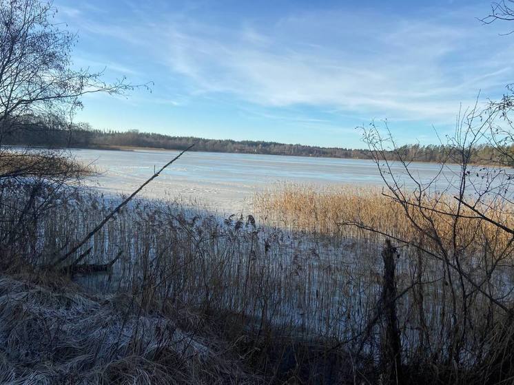 Тело мужчины с признаками утопления нашли в озере Островского района