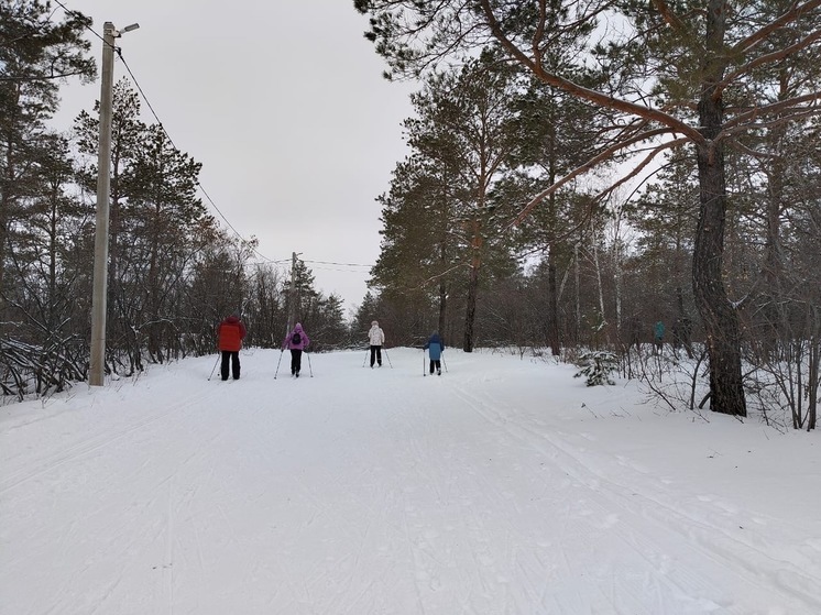 Оренбургский экопарк «Качкарка» превратился в «красный» от пробок