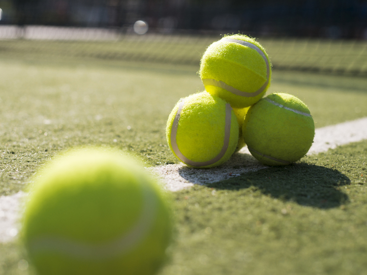 Д. Шнайдер прошла в четвертьфинал Australian Open в парном разряде 20 января