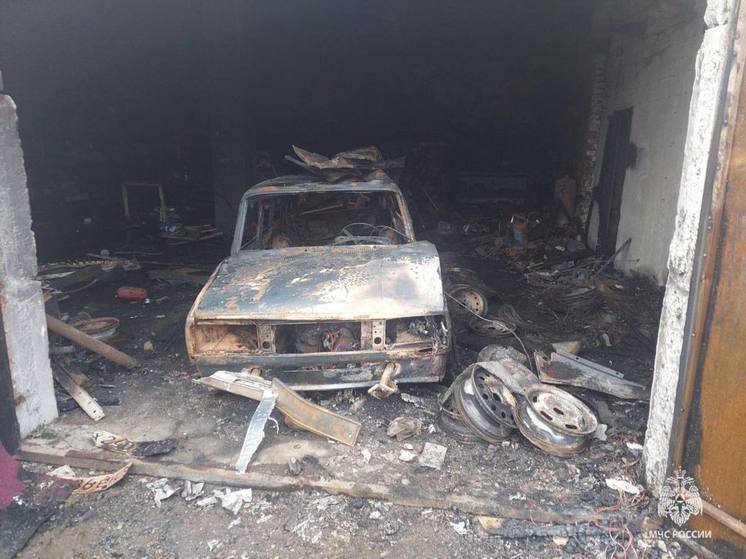 Пожарные спасли два жилых дома при пожаре в Плюссе