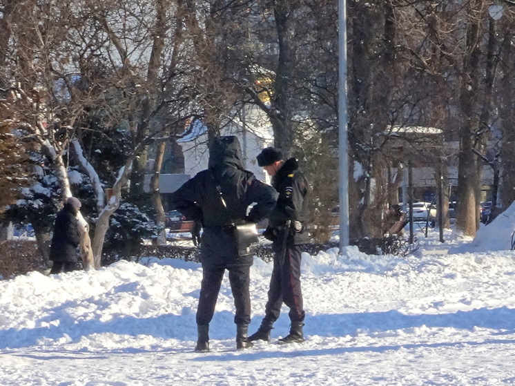 Полиция начала проверку массовой драки подростков в Энгельсе