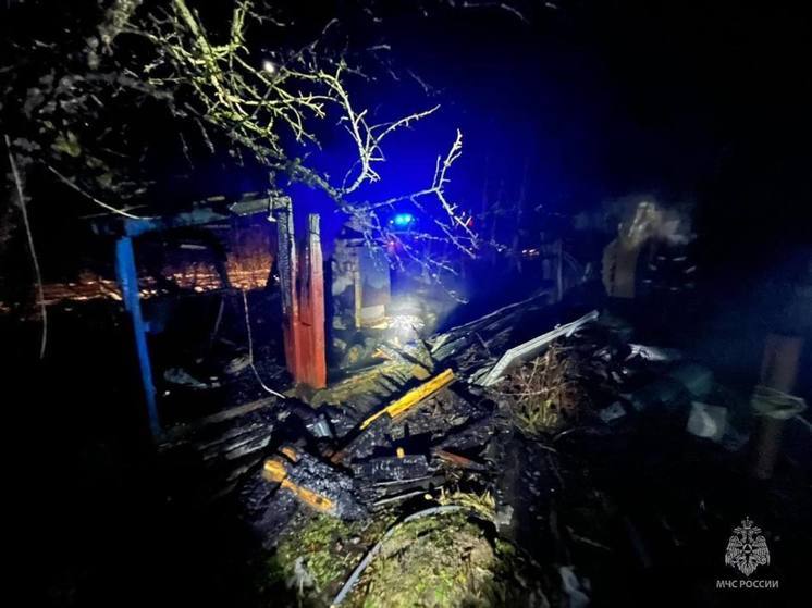 Пожарные эвакуировали 50-литровый баллон с техническим газом при пожаре в Пскове