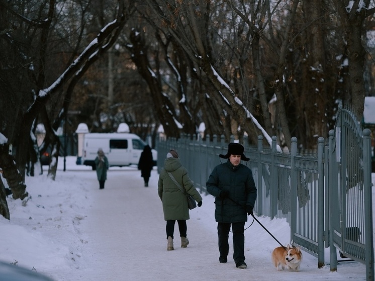 В Томской области третья декада января 2025 года будет теплее нормы