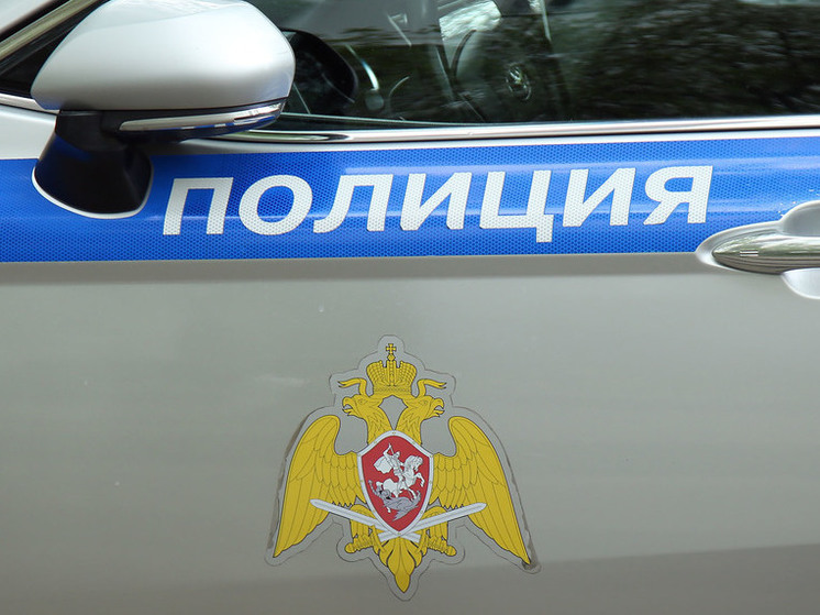 Неадекватный мужчина напал с ножом на водителя в Истре