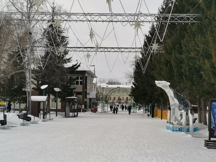 В Томске 21 января потеплеет до +1 градуса