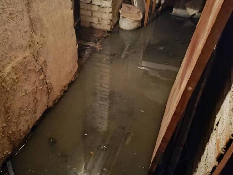 Нечистотами заливает подвал многоквартирного дома в Подмосковье