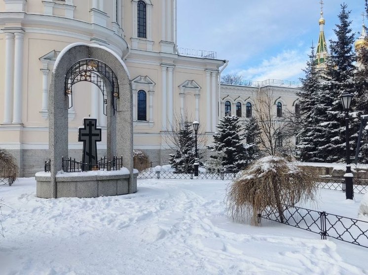 В Крещение челябинец засветил половыми органами в Храме Новодевичьего монастыря