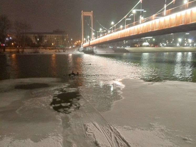Пензенские спасатели вытащили из Суры тонущего мужчину