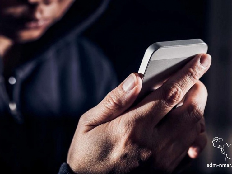 Семь лет и взыскание 3 385 000 рублей получил житель Кузбасса в НАО