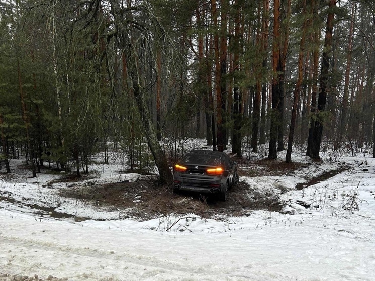 В Тамбовском округе водитель сбил женщину и врезался в дерево