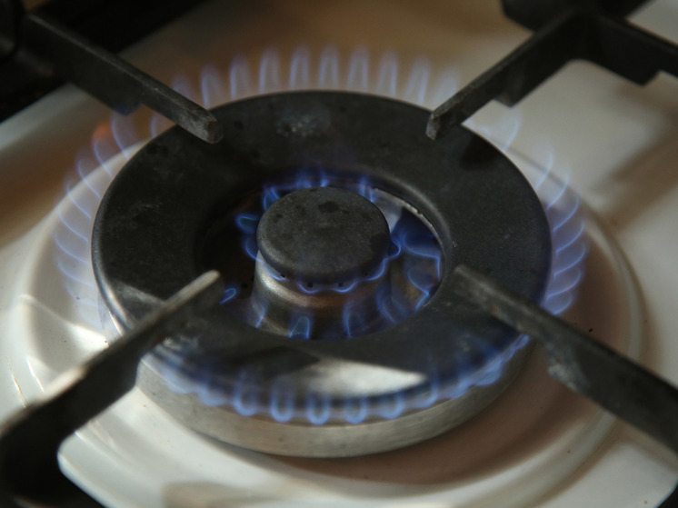 Глава Минэкономразвития Оболотник: в Приднестровье газа осталось на 11 дней