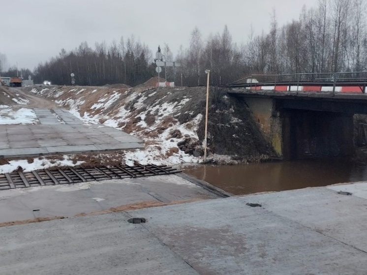 Аварийный мост в Старорусском районе разберут и заменят новым