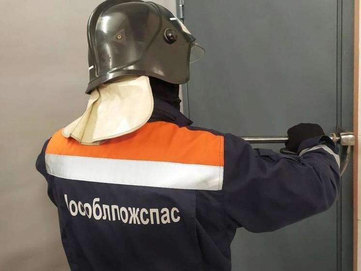 Маленькие домашние девочки