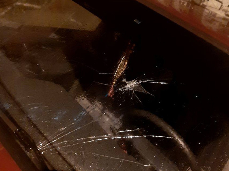 В Воронеже хулиганы разбили лобовое стекло автомобиля выброшенной бутылкой