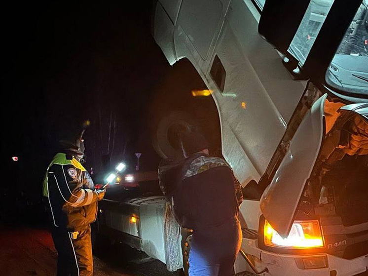 Воронежские автоинспекторы пришли на помощь водителю из Белгородской области