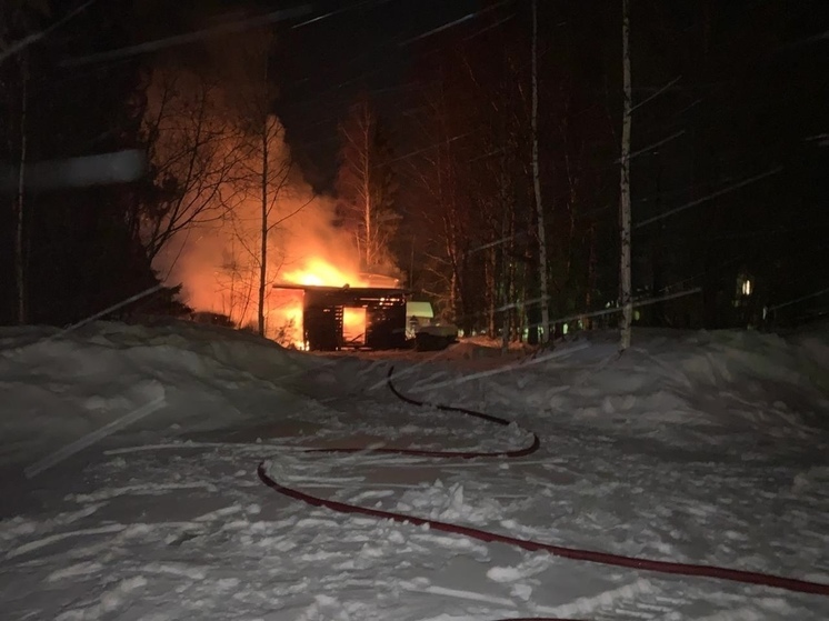 В Вилегодском округе горела столярка