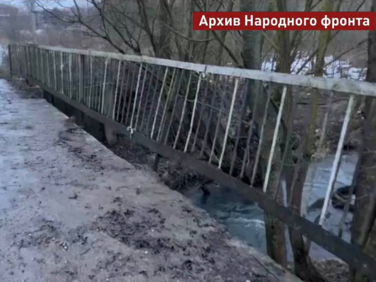 Бастрыкин взял на контроль вопрос ремонта мостов в Тульской области