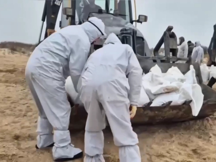 Экологи констатируют самую тяжелую экологическую ситуацию с начала XXI века